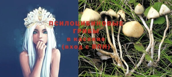 PSILOCYBIN Рославль