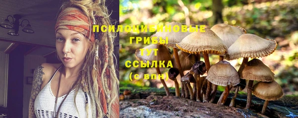марки nbome Белоозёрский